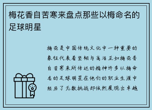 梅花香自苦寒来盘点那些以梅命名的足球明星